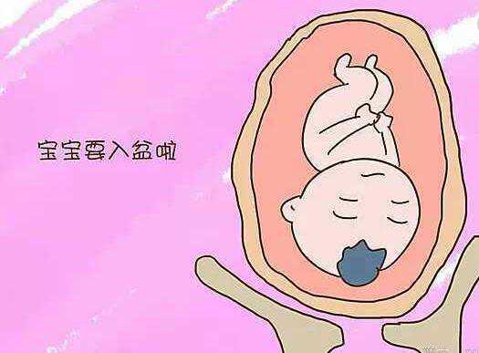 柳州正规供精助孕机构有哪些